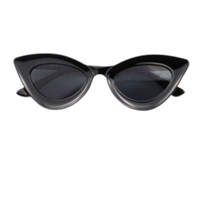 REFINED ELEGANCE: NEW EDGE EYEWEAR 81090 WOMEN'S SMALL FRAME SUNGLASSES